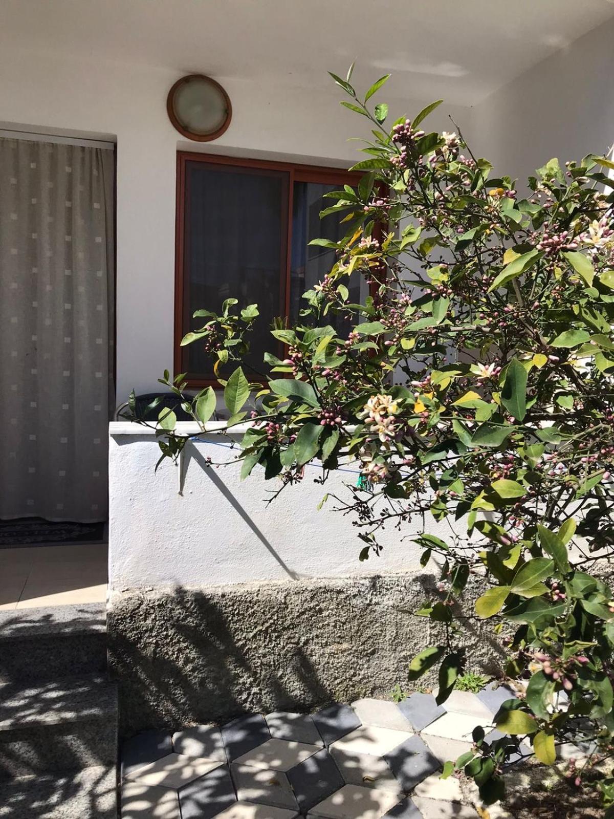 Hotel Vila Cano Durrës Exterior foto